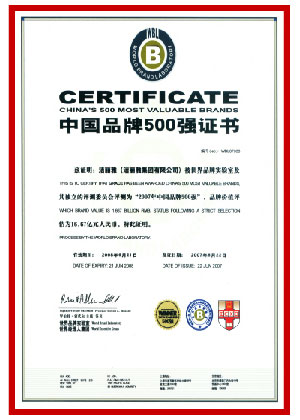 中國(guó)500最具價(jià)值品牌